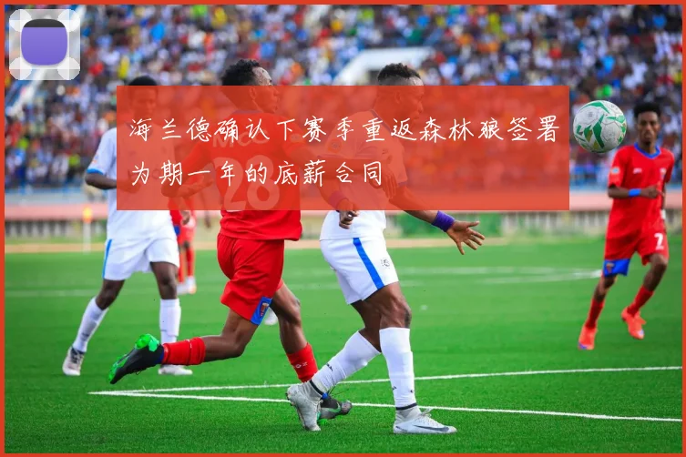 海兰德确认下赛季重返森林狼签署为期一年的底薪合同
